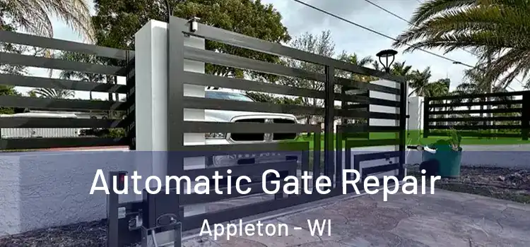  Automatic Gate Repair Appleton - WI