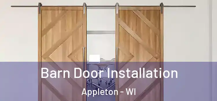 Barn Door Installation Appleton - WI
