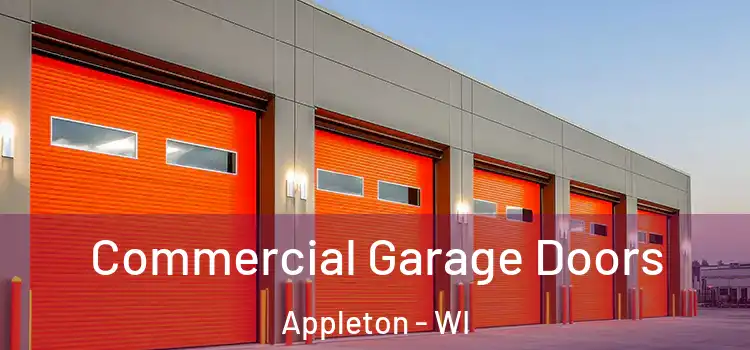 Commercial Garage Doors Appleton - WI