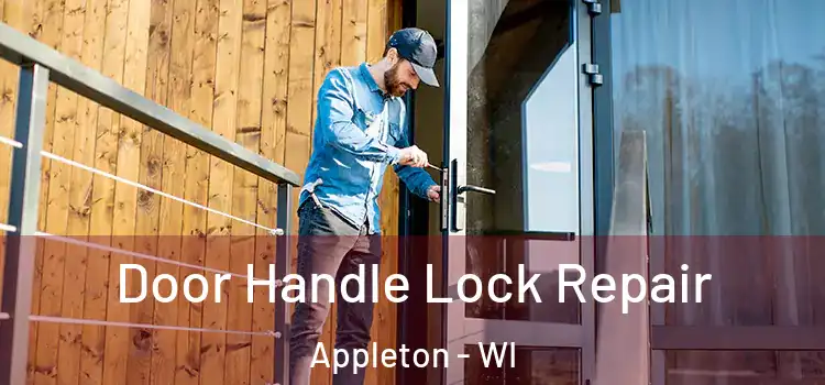  Door Handle Lock Repair Appleton - WI