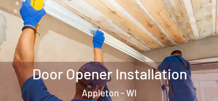 Door Opener Installation Appleton - WI