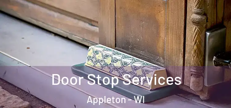  Door Stop Services Appleton - WI