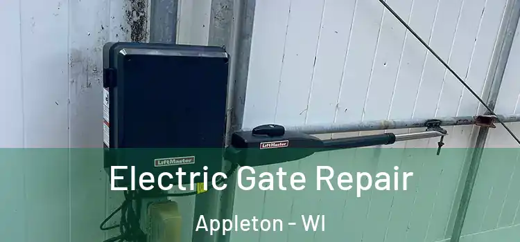 Electric Gate Repair Appleton - WI