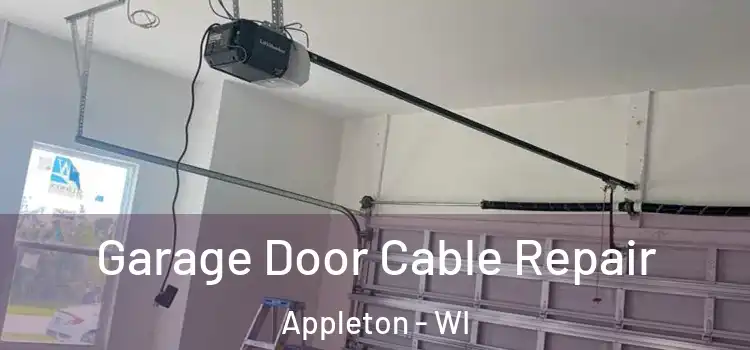  Garage Door Cable Repair Appleton - WI