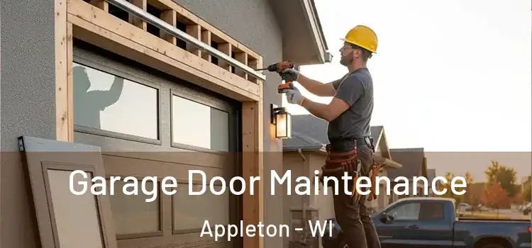 Garage Door Maintenance Appleton - WI
