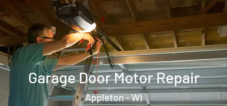  Garage Door Motor Repair Appleton - WI