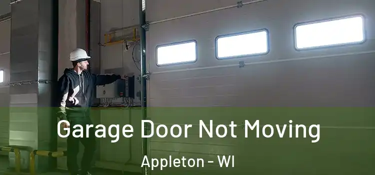  Garage Door Not Moving Appleton - WI