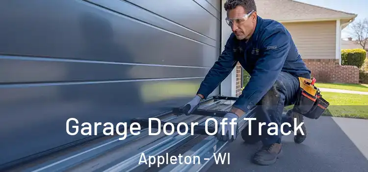  Garage Door Off Track Appleton - WI