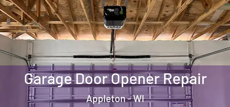  Garage Door Opener Repair Appleton - WI
