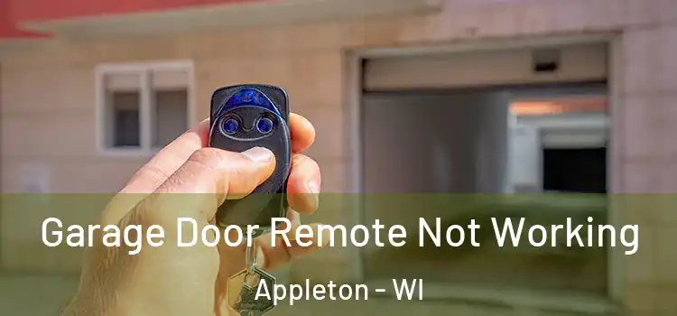  Garage Door Remote Not Working Appleton - WI