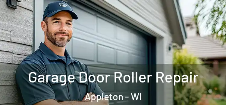  Garage Door Roller Repair Appleton - WI