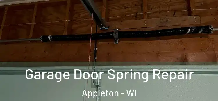  Garage Door Spring Repair Appleton - WI