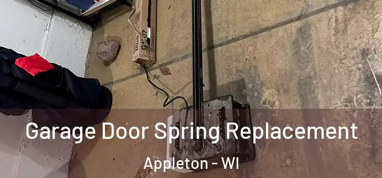  Garage Door Spring Replacement Appleton - WI