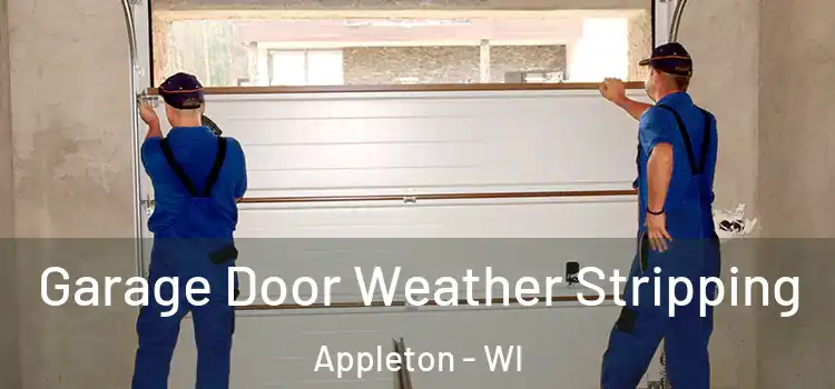  Garage Door Weather Stripping Appleton - WI