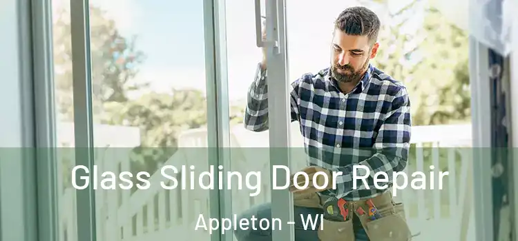 Glass Sliding Door Repair Appleton - WI