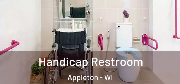 Handicap Restroom Appleton - WI