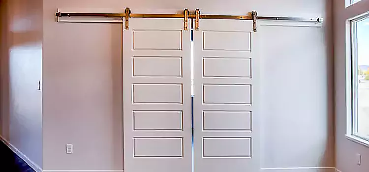 Glass Barn Door with Installation Hardware Kit Appleton