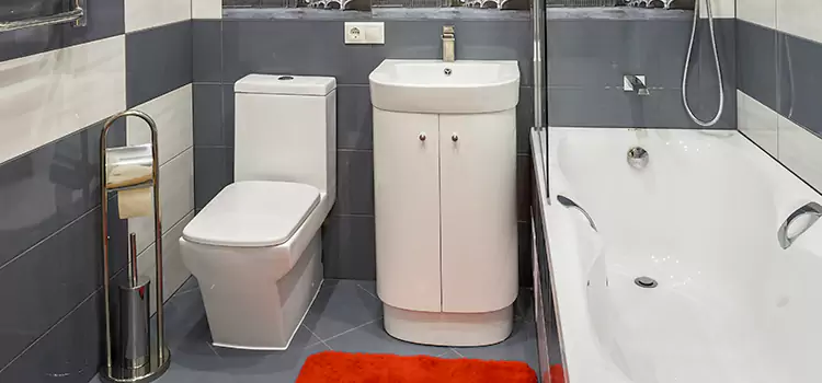 Hansgrohe Shaving Mirror Appleton