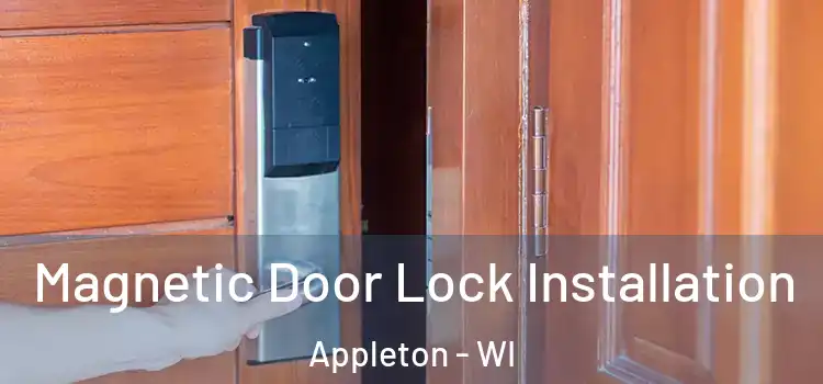  Magnetic Door Lock Installation Appleton - WI