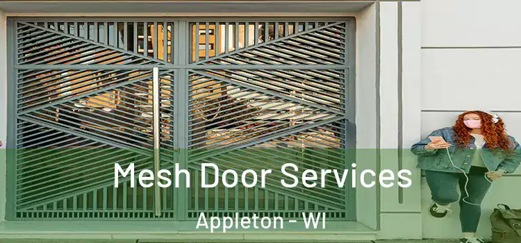 Mesh Door Services Appleton - WI