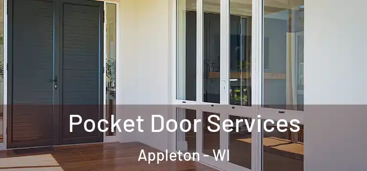 Pocket Door Services Appleton - WI