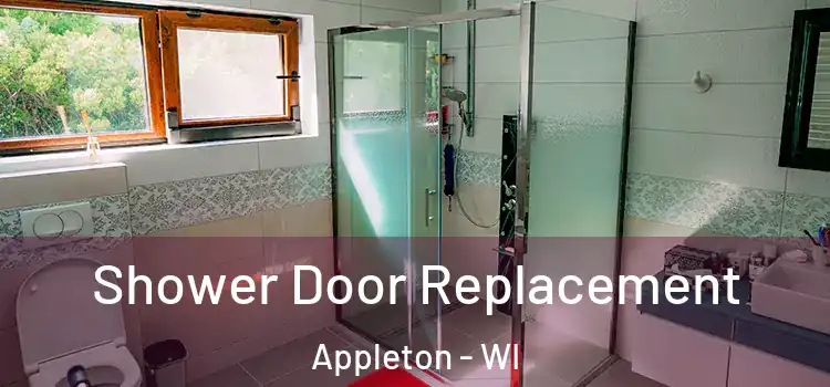 Shower Door Replacement Appleton - WI