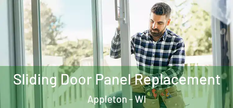  Sliding Door Panel Replacement Appleton - WI