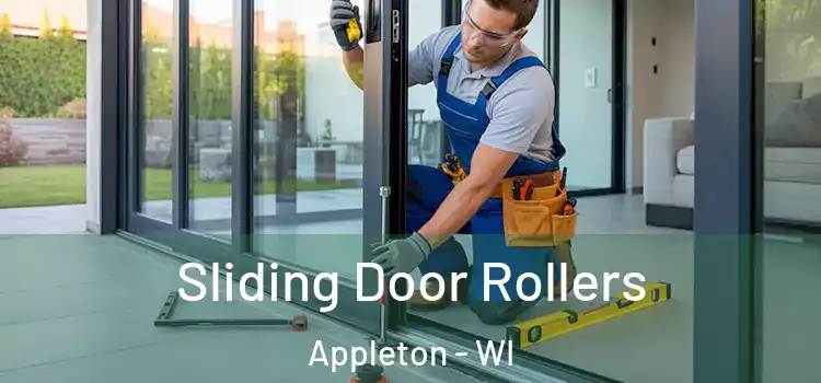  Sliding Door Rollers Appleton - WI