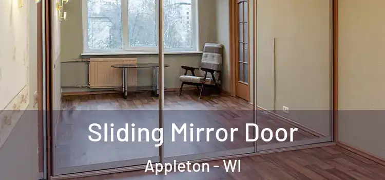  Sliding Mirror Door Appleton - WI