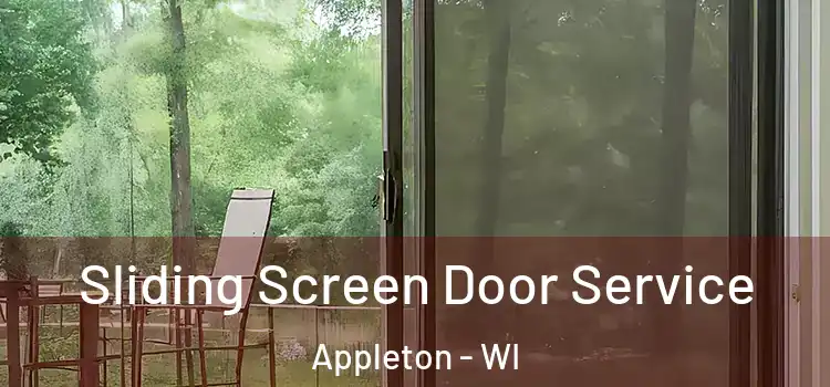 Sliding Screen Door Service Appleton - WI