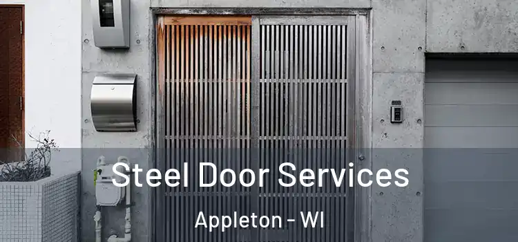  Steel Door Services Appleton - WI